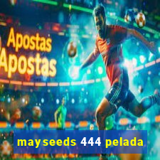 mayseeds 444 pelada